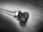 Preview: Blinker Bullet Atto Dark