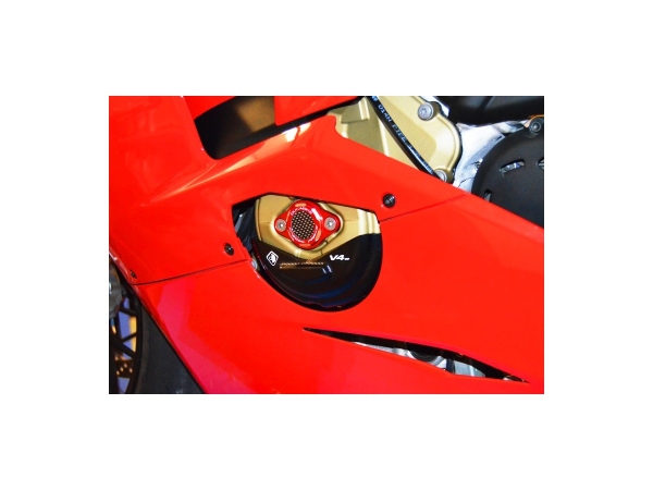 Motorenschutz Alternatordeckel Panigale V 4
